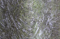 Reraig fibreglass roof work